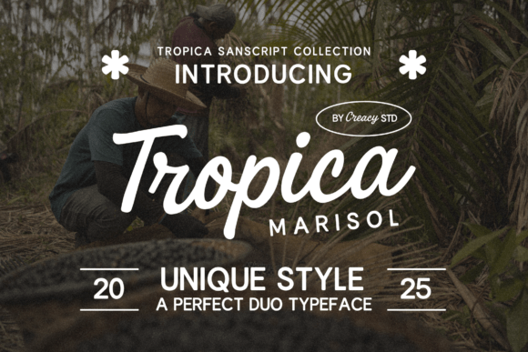 Tropica Marisol Duo: A Vintage Touch for Modern Brands